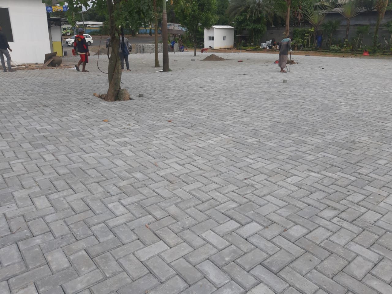 Proyek paving plaza area komersial dengan pohon dan lansekap